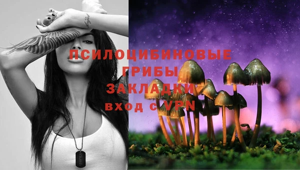 прущая мука Алзамай