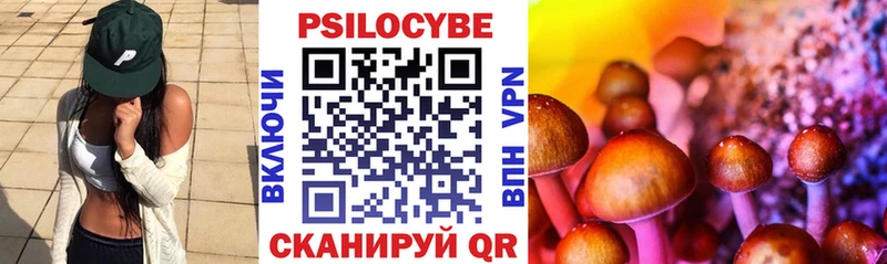 купить наркоту Ивангород ОМГ ОМГ ONION Псилоцибиновые грибы GOLDEN TEACHER
